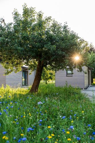 Viesnīcas āriene, MTK Tinyhouses in Buxheim (Bavaria)