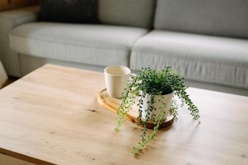 Chalupa na Políčku (Chalupa na Policku) in โรคิตนิซ วี ออร์ลิซคิช ฮอราค