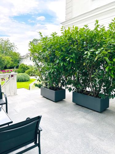 Villa Romana Apartments in Baden