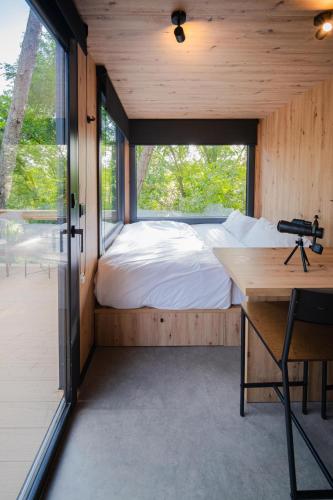 Cabañas del bosque Sacedón (Cabanas del bosque Sacedon) in Sacedon