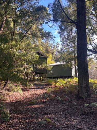 Wellington Forest Cottages  & bar cafe  in Wellington Mill