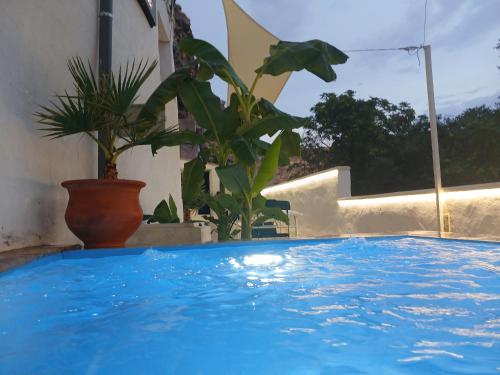 Coves Del Xuquer gîte à louer Cubas