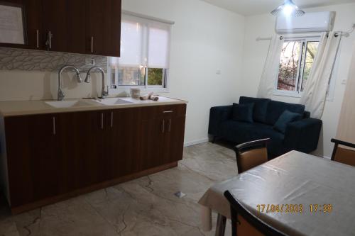 אחוזת ישוב הדעת, Safed (fotografie 10)
