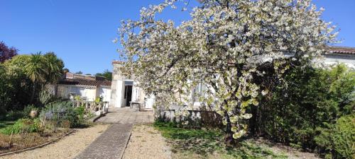 Villa Margo in Chateaubernard