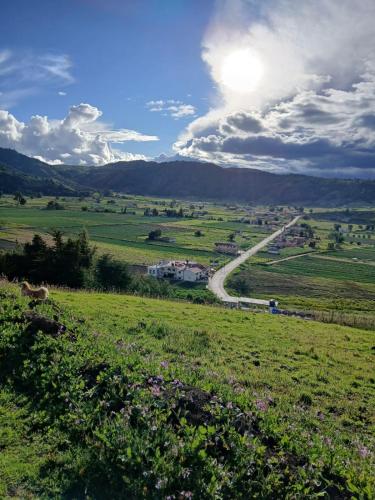 Los Geranios Hospedaje in Aquitania