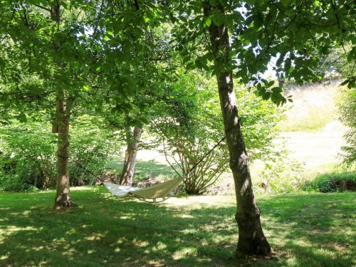 Pheasant Cottage - image 4