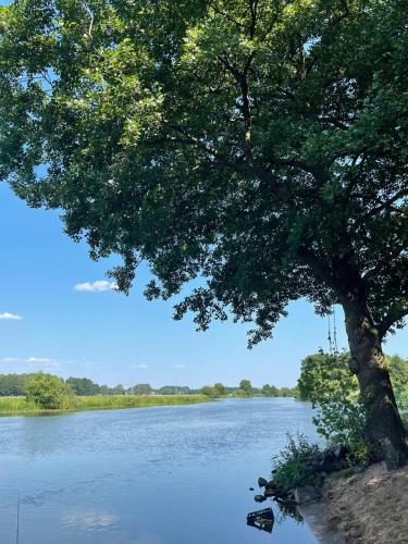 Ferienwohnung AllerStall in Essel