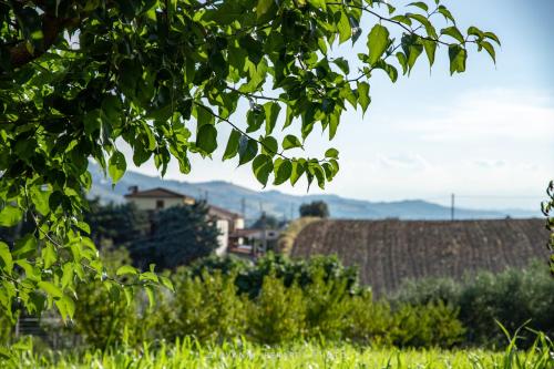  ScholaBnb “ percorso esperenziale di vita rurale sostenibile” in Campofilone