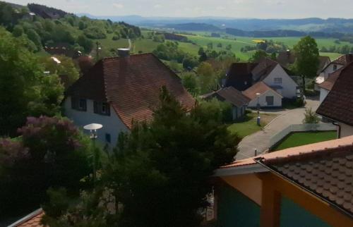 A környék, Villa Grenzenlos in Loffingen városközpont