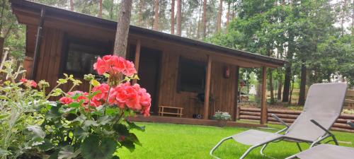 Domek z widokiem na jezioro
