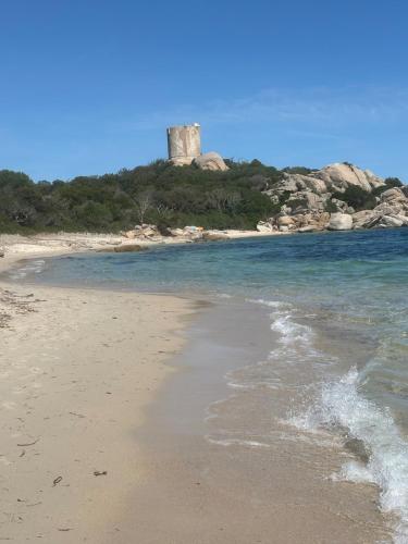 Superbe T2 les pieds dans l'eau in Figari