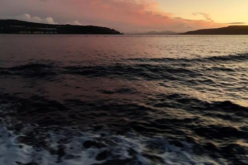 Off Grid 1-Bed Cabin Pets Ok 20 mins to Dunoon in อีทกิลบริด