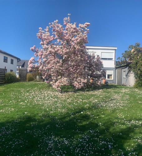 Oase der Gemütlichkeit in Radolfzell am Bodensee, Deutschland