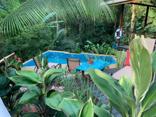 Toucan Hideout with Plunge Pool in ปุนตาโกเกลส