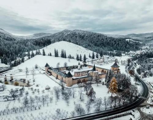 Life-forever in ซูเซวิตา