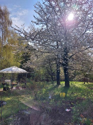 Der Konikhof, Natur, Ruhe, R-Auszeit in Rochau