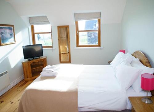Dingle Courtyard Cottages 2 Bed (Sleeps 4) - image 14