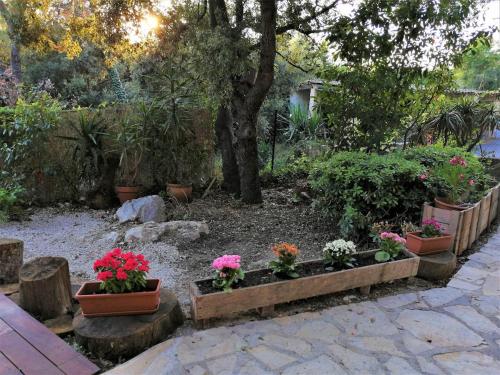 Studio Détente avec Terrasse (Studio Detente avec Terrasse) in Maure