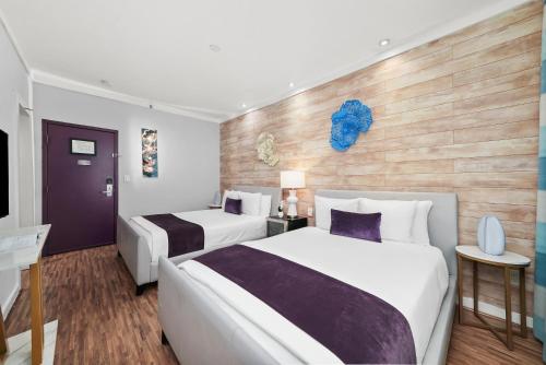 Standard Double Queen Room room in Shelley Hotel