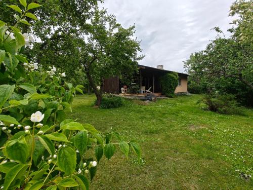 Retrohõnguline suvila saunaga Laulasmaal, privaatne puhkus mere lähedal (Retrohonguline suvila saunaga Laulasmaal, privaatne puhkus mere lahedal) in Laulasmaa