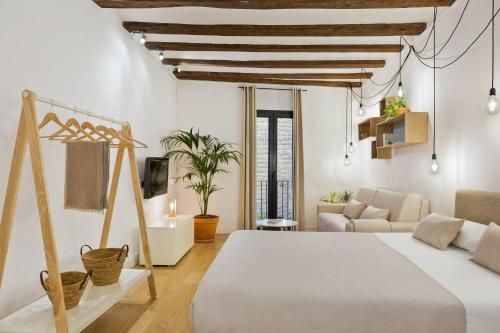 Ola Living Born, Barcellona