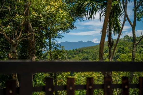 A moon place Mountain veiw Cabana Haputhale,Haldummulla in Haputale