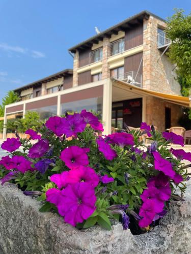 Garni Onda - Hotel - Torri del Benaco