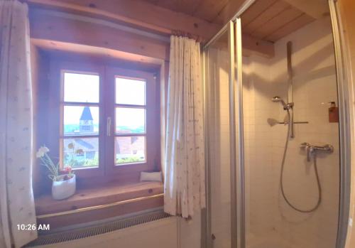 Zuhanyzó, Villa Grenzenlos in Loffingen városközpont