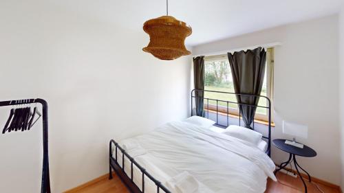 Comfortable Living Cozy Space, Zürich (photo 7)