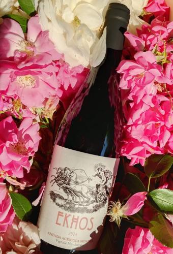  Monfrà - Ospitalità Rurale, Vigneti e Cantina in Vignale Monferrato