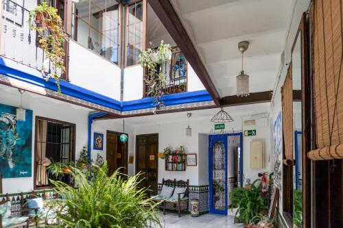 Tesis özellikleri, Backpacker Al-Katre in Kordoba Şehir Merkezi