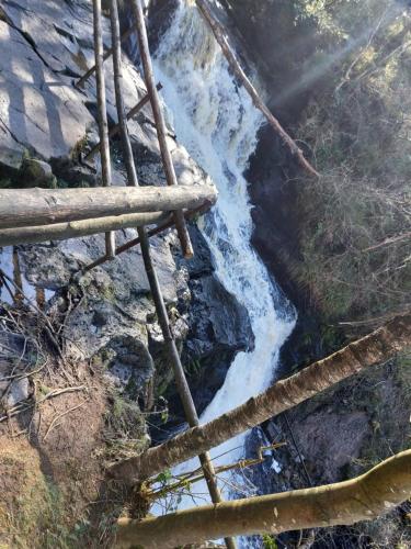 Glenbarrow Lodge in Mountmellick