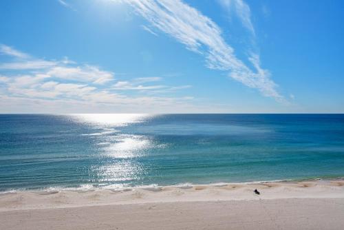 Treasure Island 0503 - image 38
