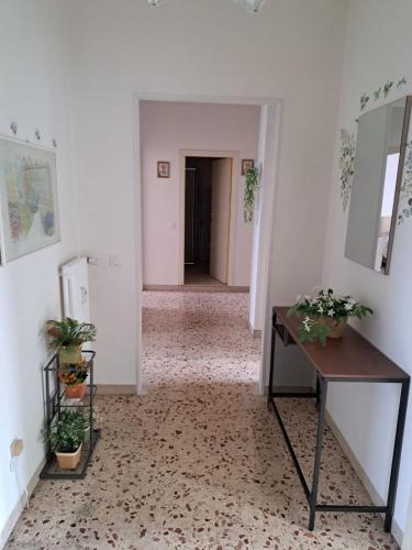 L'Ulivo in Vallefoglia
