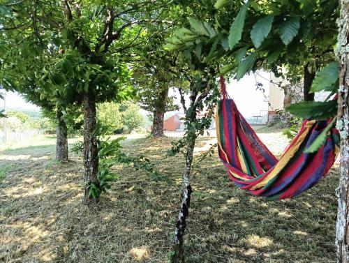 スリバス Casa Quinzan Ribeira Sacra 4つ星 シングルルーム 眺望