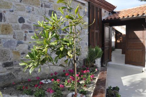 Taş Avlu Butik Otel - image 8