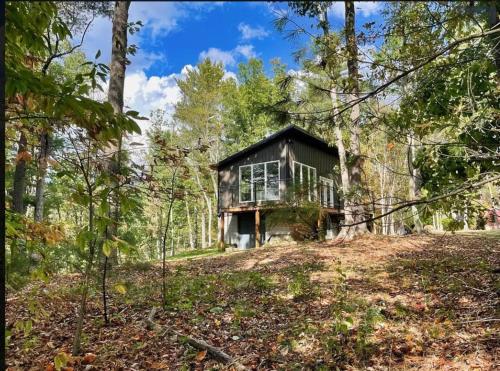 Modern Nimitz Cabin on 19 Acres with Fireplace and WiFi, Nimitz