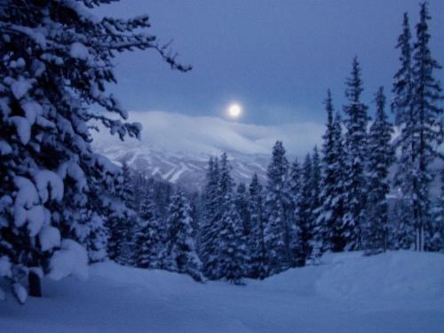 LongBranch #116 in Breckenridge, USA