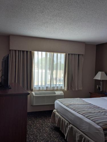 Canby Inn and Suites - image 2