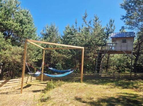 Domek pod lasem in Лінія