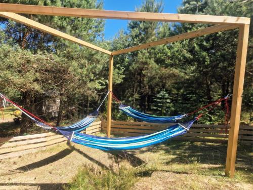 Domek pod lasem in Лінія