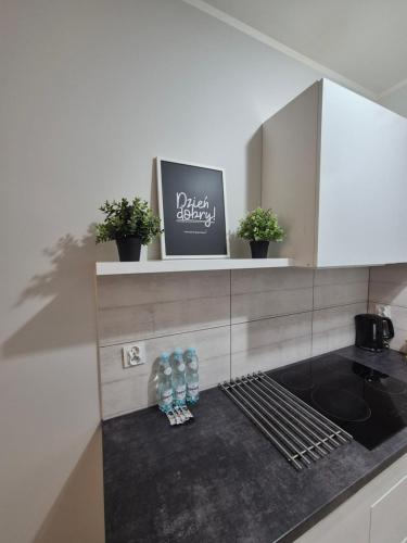 Apartament Centrum z darmowym podziemnym parkingiem