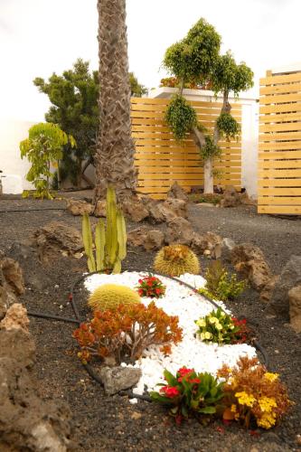Oasis Dunas Corralejo 3