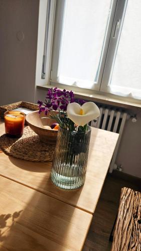 Facilities, Primum Ver in Borgo Venezia - San Michele