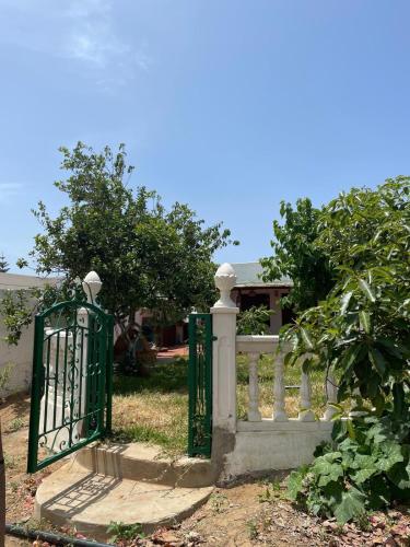 Fluture, Larache (photo 6)