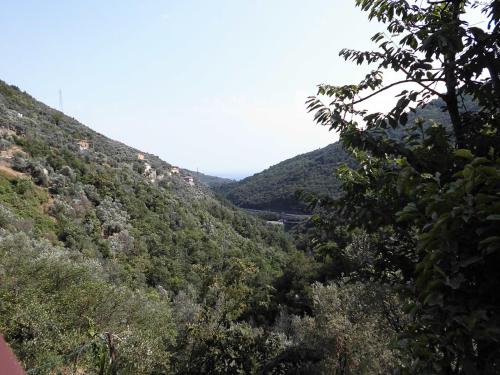  La Margherita di Teriasca in Teriasca