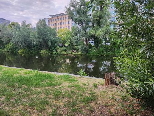 Design Apartment mit Loftfeeling in Charlottenburg, Berlin (photo 11)