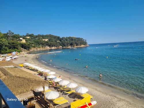 appartement de la plage climatisé (appartement de la plage climatise) in Rayol-Canadel-sur-Mer