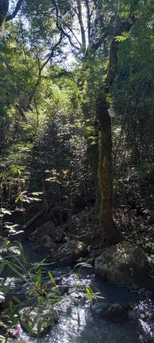 周邊環境, Hospedaje Los Buenos Aires in 米西奧內斯