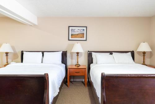 Road Creek Inn - main image